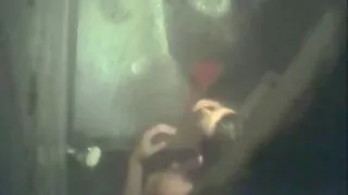 Namų šeimininkė guli ...