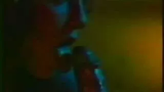 Lesbietės laižo vien ...