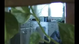 Krūtinė blondinė apl ...