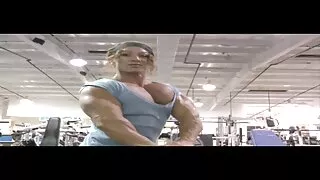 Didelis Gaidžiai