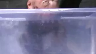 Gražus juodas vyras  ...