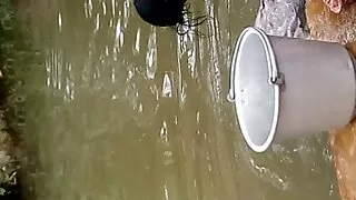 Negras grubiai pakli ...