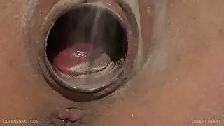 Rusijos jauna gražuo ...