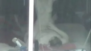 Plikas vyras plaktuk ...