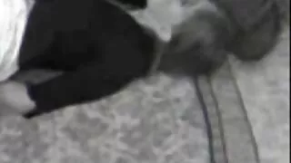 Rusijos jauniklė mėg ...