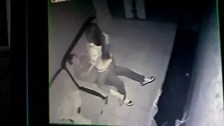Tatuiruota sugyventi ...