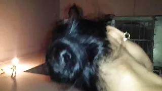 Azijos po sekso su a ...