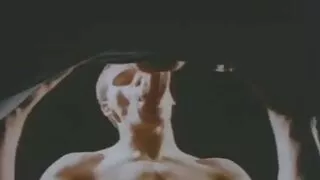 Viščiukas didelėmis  ...